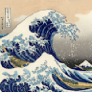 Meet your Posher, Matilda